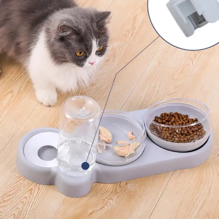 Pet Cat Bowl