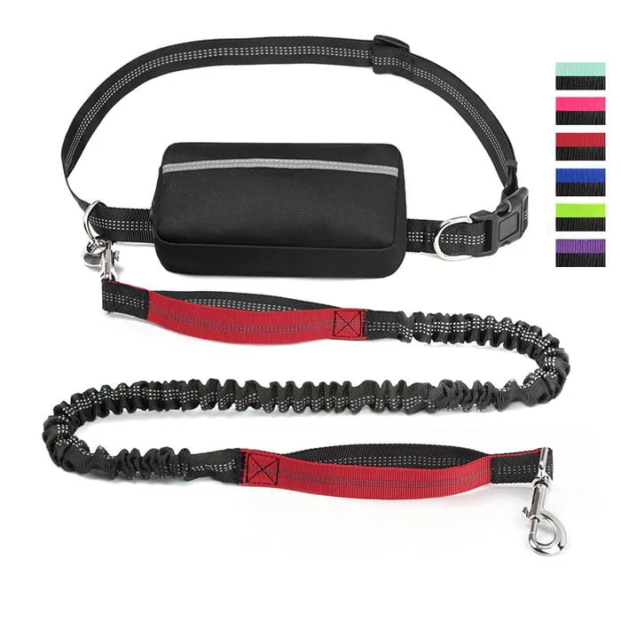 Hands Free Dog Leash with Zipper Pouch