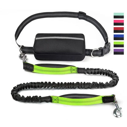 Hands Free Dog Leash with Zipper Pouch