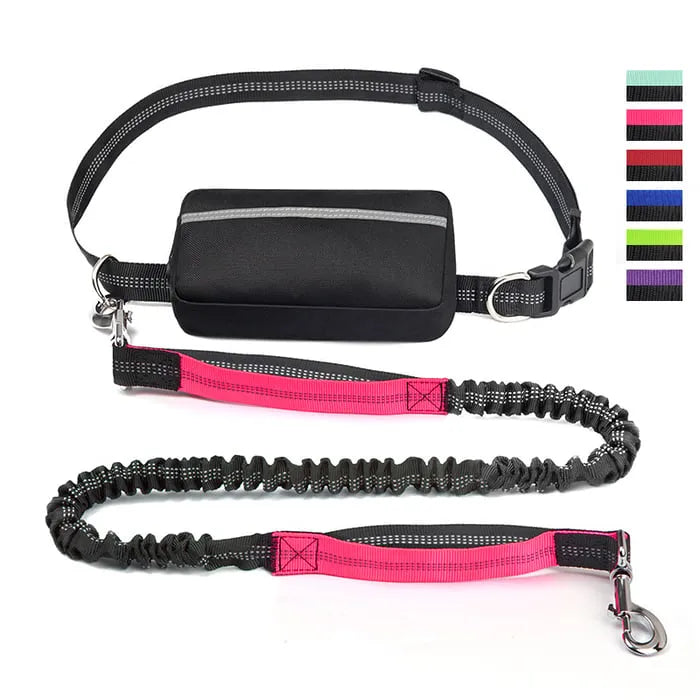 Hands Free Dog Leash with Zipper Pouch