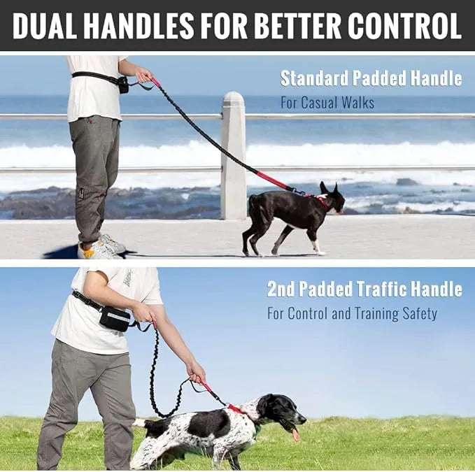 Hands Free Dog Leash with Zipper Pouch