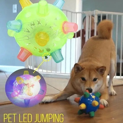 Jumping Activation Ball for Pets