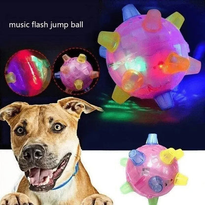 Jumping Activation Ball for Pets