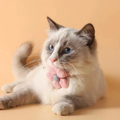 Cat Collar with Cute Flower